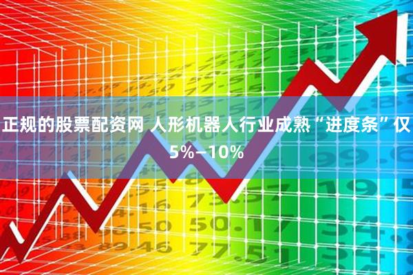 正规的股票配资网 人形机器人行业成熟“进度条”仅5%—10%